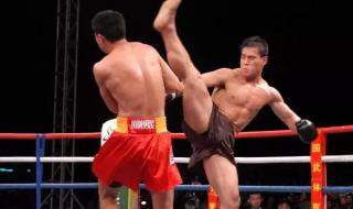 中国散打王柳海龙 中国散打王柳海龙