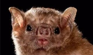 诺贝尔奖总奖金达38.74亿元