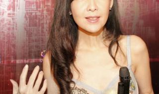 周慧敏现身挺黎明 周慧敏现身挺黎明