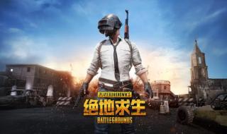 绝地求生国服什么时候上线