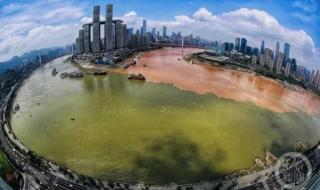 重庆两江交汇现鸳鸯锅奇观