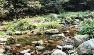 益阳旅游景点大全 益阳旅游景点大全