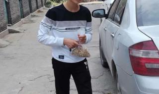 高中生疑与教师吵架后失联 高中生疑与教师吵架后失联