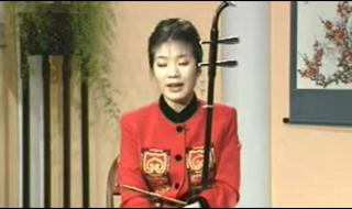 一般的二胡多少钱