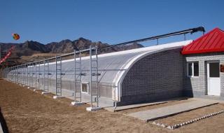 新型日光温室大棚 新型日光温室大棚