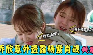 肖战杨紫私下恋爱是真的吗 肖战杨紫私下恋爱是真的吗