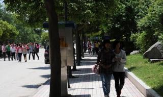 重庆幼儿师范高等专科学校