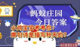 阳光大道蚂蚁庄园 阳光大道蚂蚁庄园