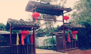 阳光大道蚂蚁庄园 阳光大道蚂蚁庄园