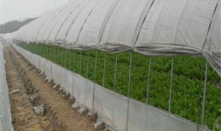 南通农业职业技术学院