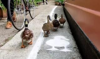 你是潘金莲我是西门庆 你是潘金莲我是西门庆