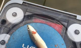 早知道伤心总是难免的 早知道伤心总是难免的