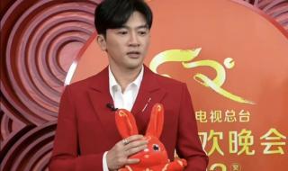 苏有朋隔13年再登春晚 苏有朋隔13年再登春晚