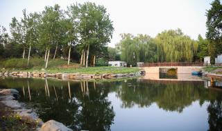 万园之园指的是哪个园