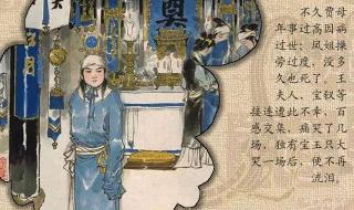 满纸荒唐言一把辛酸泪 满纸荒唐言一把辛酸泪