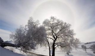 山回路转不见君下一句 山回路转不见君下一句