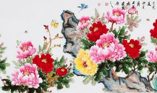 国色天香A区优点和缺点 国色天香A区优点和缺点